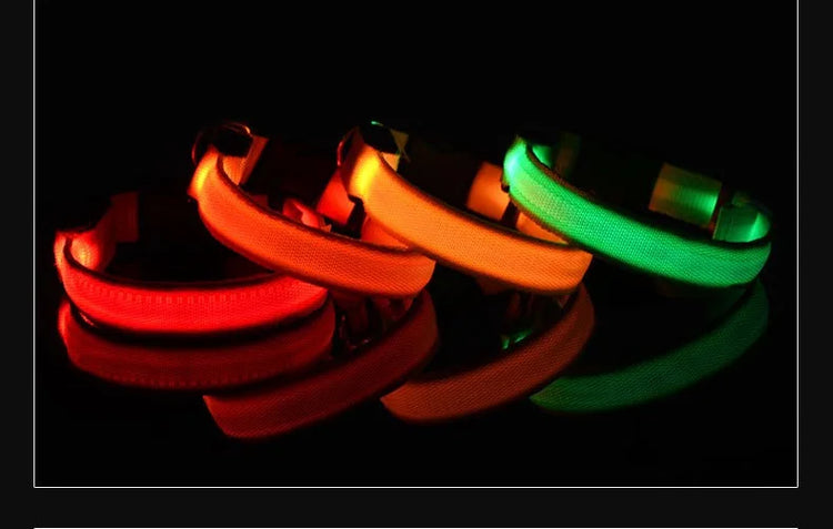 Nylon LED Dog Collar | Night Safety Flashing Glow In The Dark | Dog Leash | LUminous Fluorescent Dog Accessories Collar