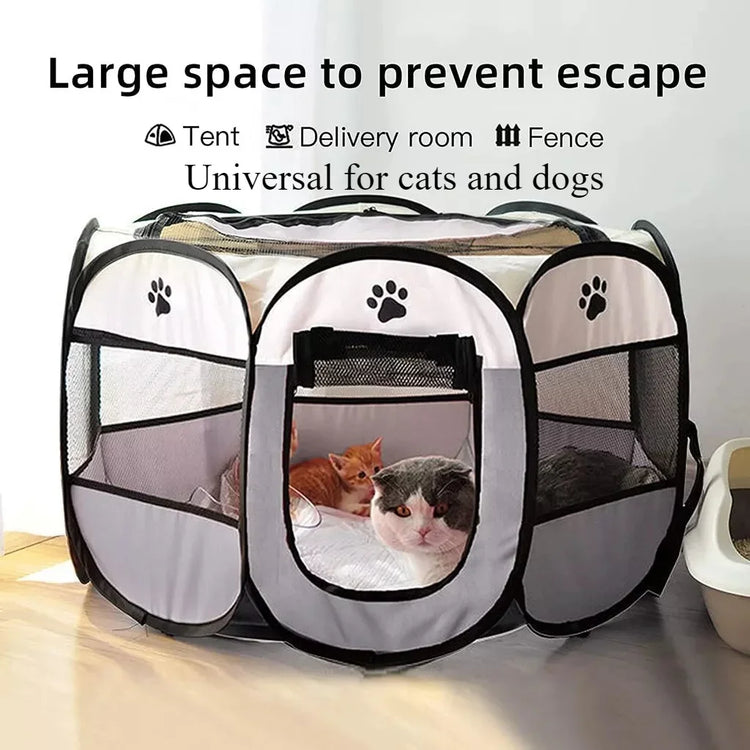 Cat Carrying Bag | Space Pet Backpack | Transparent Portable Dog Carrier