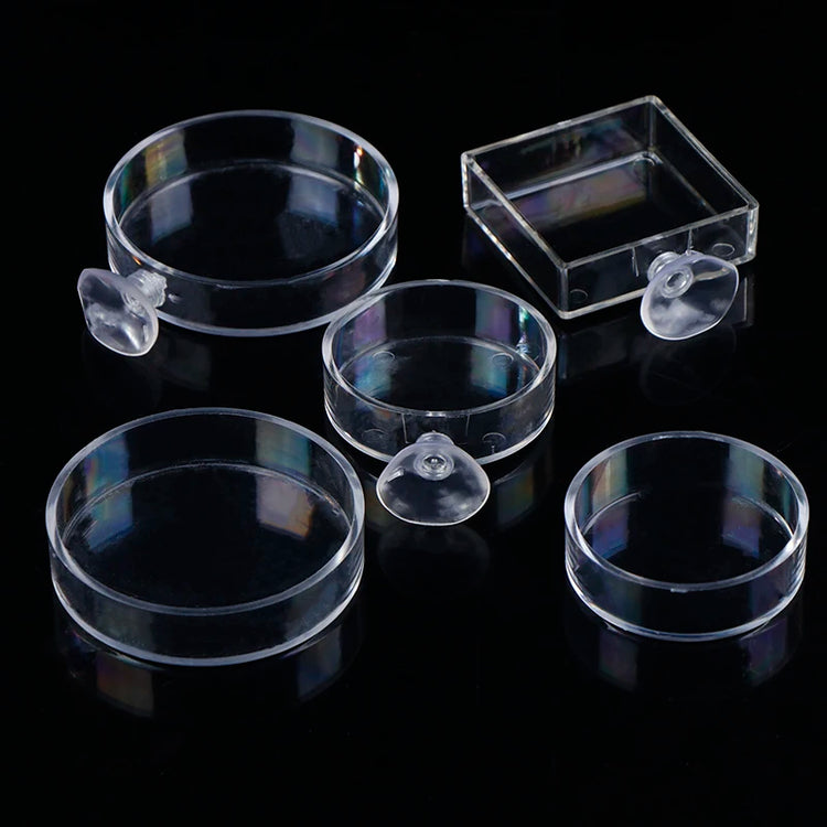 Acrylic Transparent Shrimp Feeder – Lightweight Durable Fish & Shrimp Feeding Container