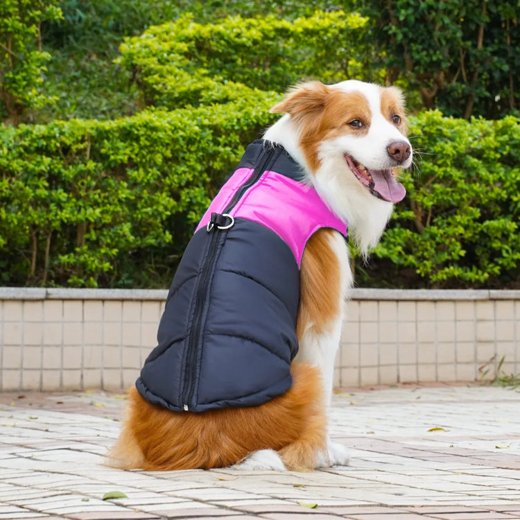 Pet Puppy Clothes Cat Clothing Autumn/Winter Warm Cotton Jacket Outdoor Waterproof Tank Top Small/Medium/Large Dog Costume