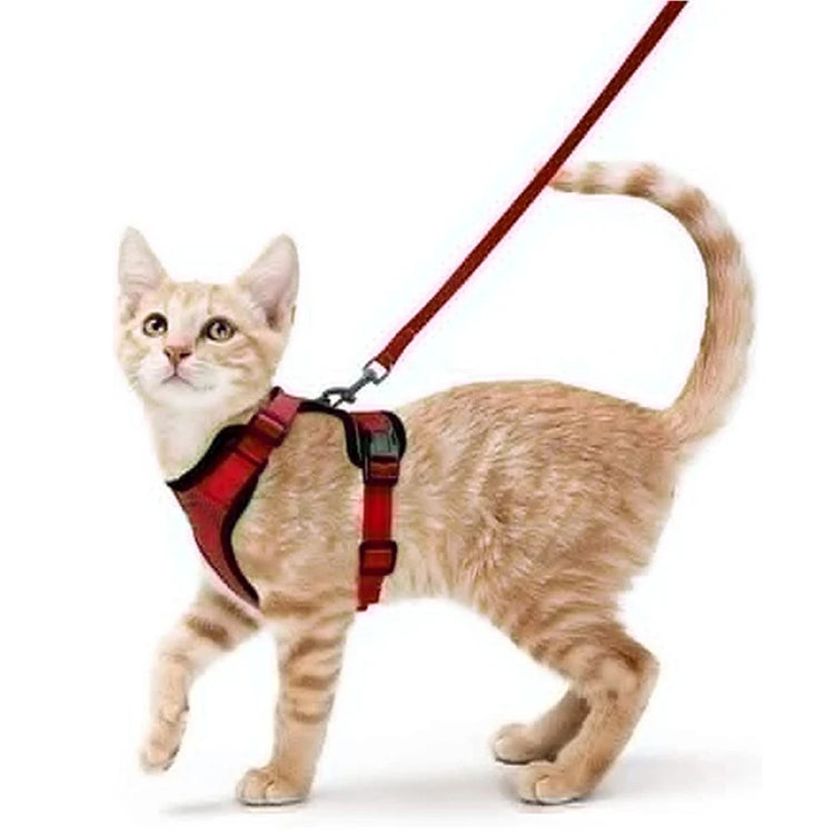 Cat Harness and Leash for Walking | Escape Proof | Soft Adjustable Vest Harnesses for Cats | EasyControl