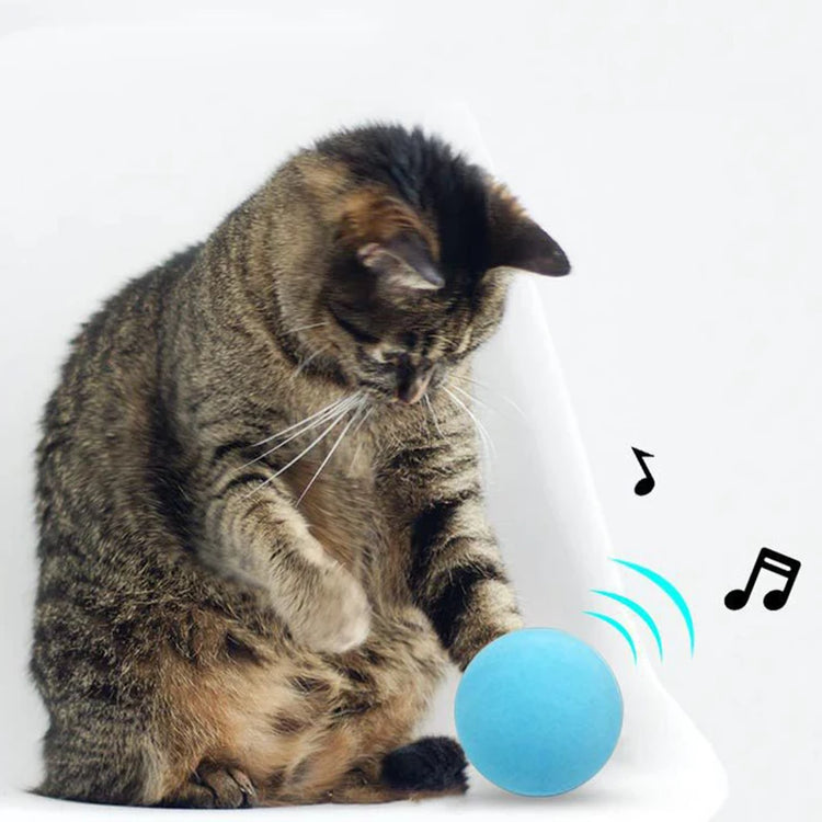 Crazy Cat Toy | Imitating Animal Sounds | Ball Toys for Cats | Ragdoll Siamese Persian | Funny Kitten Gaming Time | Juguetes para Gatos