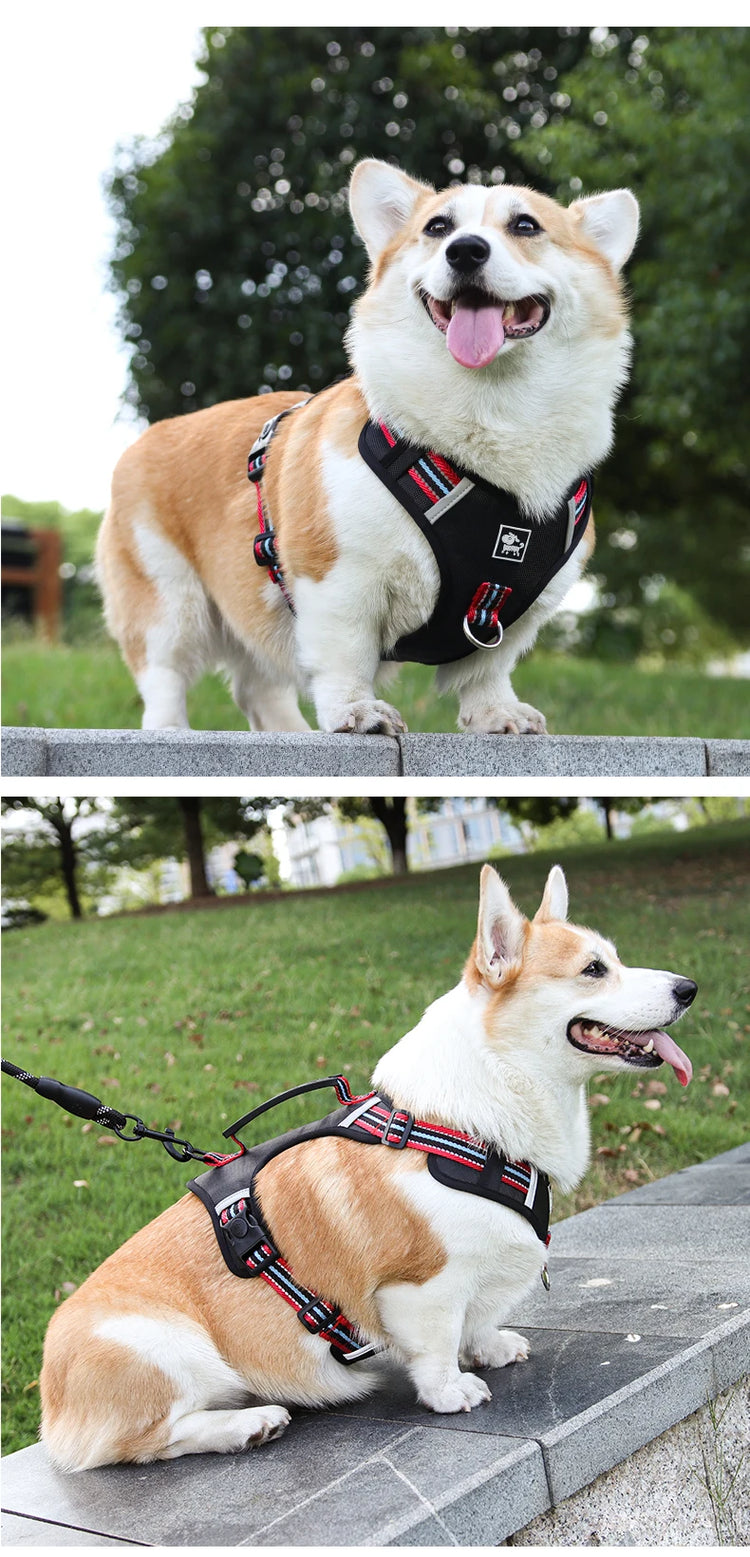 Durable Nylon Dog Harness with Handle – Travel-Friendly, Lightweight & Explosion-Proof Vest for All Dog Sizes
