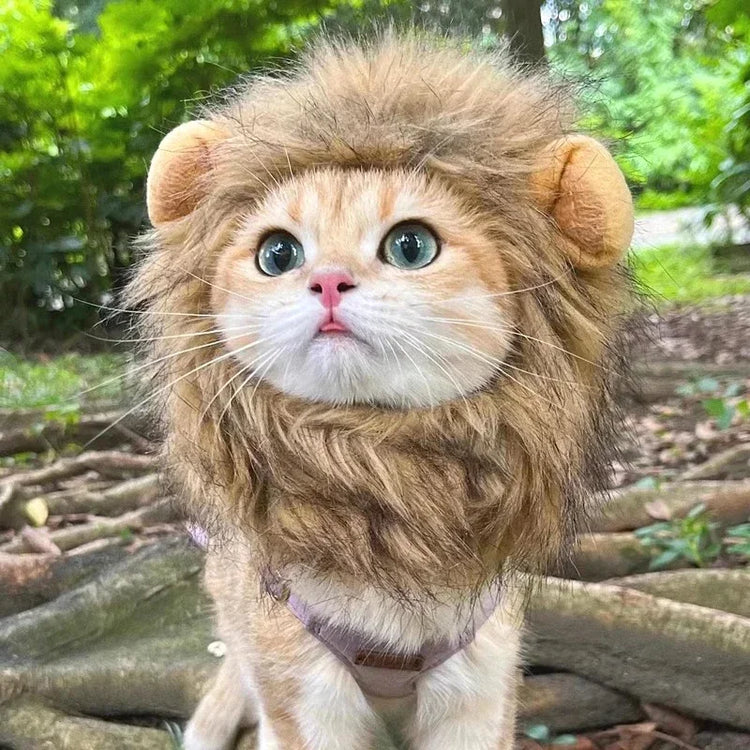 Cute Lion Mane Wig Hat for Cats/Small Dogs | Funny Pet Costume For Halloween, Christmas & Parties