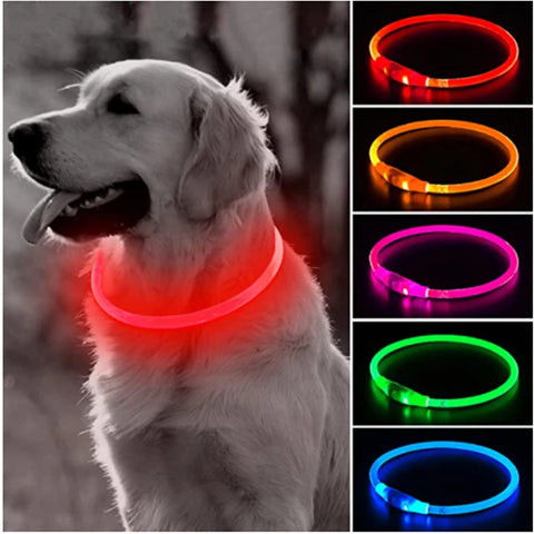 LED USB Rechargeable Dog Collar – Adjustable, Glowing Safety Collar for Pets