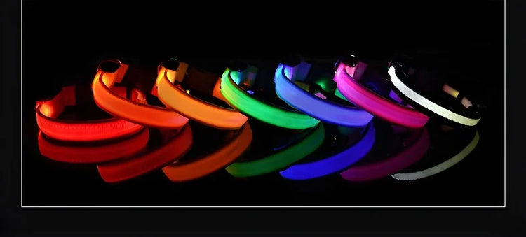 Nylon LED Dog Collar | Night Safety Flashing Glow In The Dark | Dog Leash | LUminous Fluorescent Dog Accessories Collar