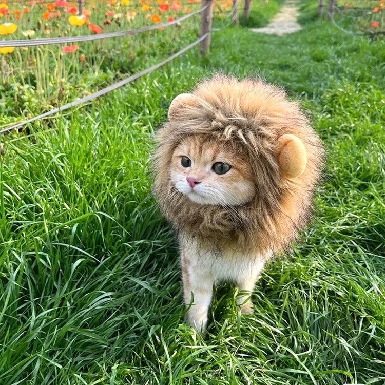 Cute Lion Mane Wig Hat for Cats/Small Dogs | Funny Pet Costume For Halloween, Christmas & Parties