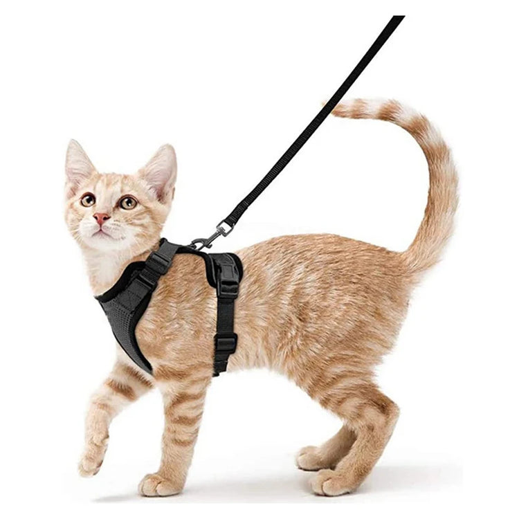 Cat Harness and Leash for Walking | Escape Proof | Soft Adjustable Vest Harnesses for Cats | EasyControl