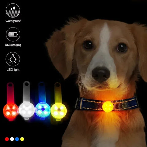 LED Glowing Dog Collar – USB Rechargeable Safety Light Collar