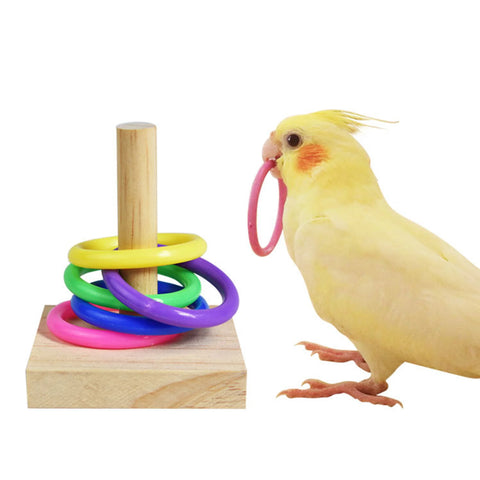 Bird Training Toys Set | Wooden Block Puzzle Toys for Parrots - Colorful Plastic Rings / Intelligence Training Chew Toy - Bird Supplies