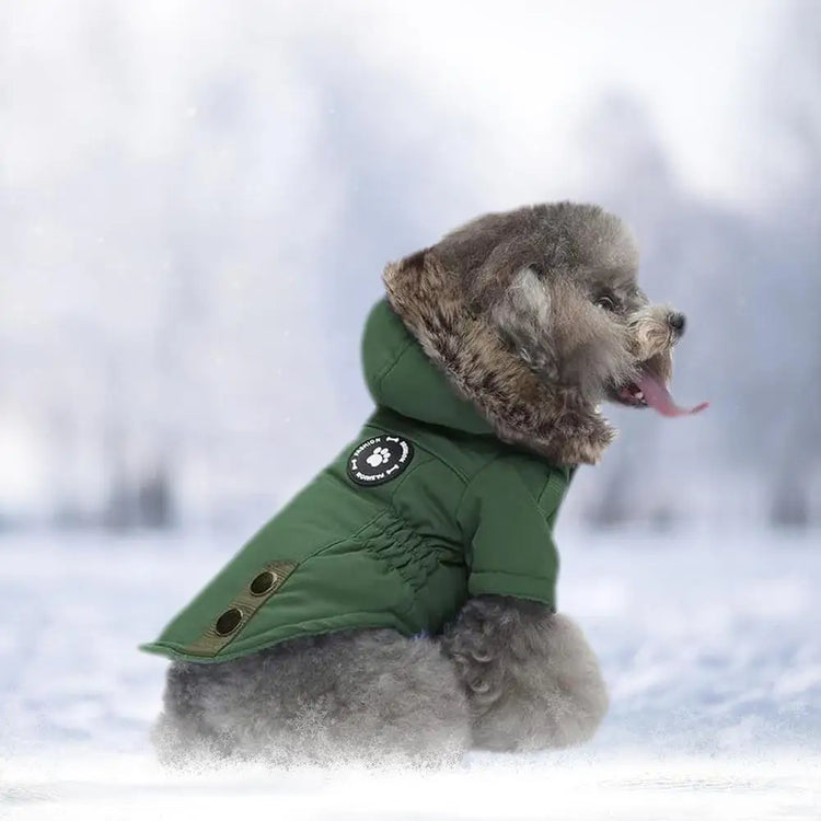 Cat/Dog Down Jacket | Hoodie Coat | Warm Thick Padded Winter Vest | Pet Clothes for Small Dogs