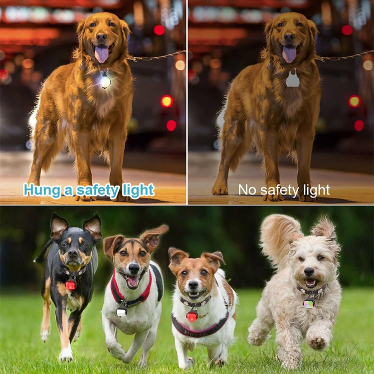 2 Pack LED Dog Collar Lights – USB Rechargeable, Luminous Safety Pendant for Night Walking