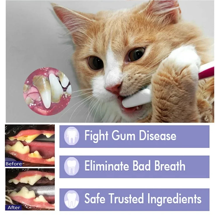 Edible Pet Toothpaste for Cats & Dogs | Oral Care Gel for Clean Teeth & Healthy Gums