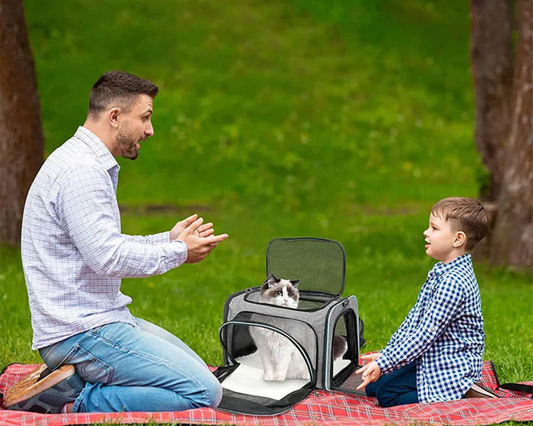 Soft-Sided Dog and Cat Carrier for Kittens – Lightweight & Portable Travel Bag