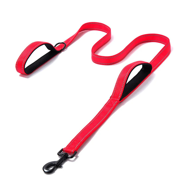 Heavy Duty Double Handle Dog Leash – Outdoor Training & Travel Lead