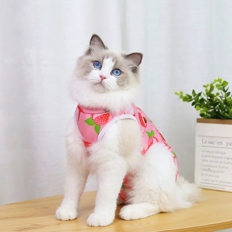Post-Surgery Sterilization Suit for Female Cats | Anti-Licking Recovery Vest | Weaning Suit