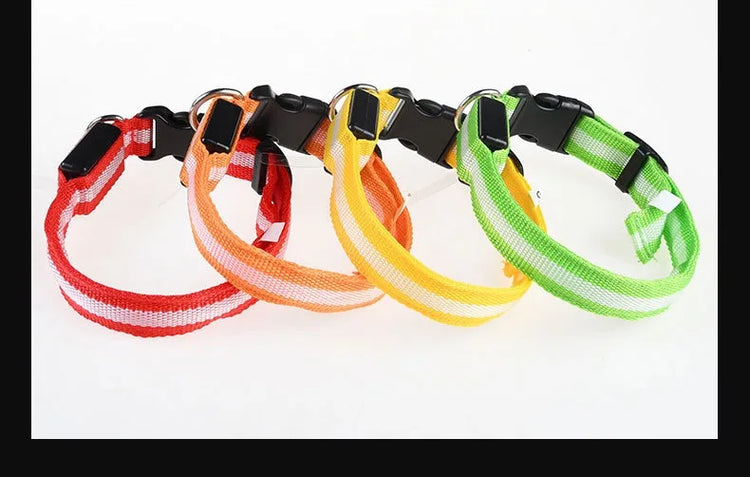 Nylon LED Dog Collar | Night Safety Flashing Glow In The Dark | Dog Leash | LUminous Fluorescent Dog Accessories Collar