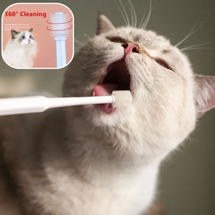 Cat Toothbrush & Toothpaste Set | Soft Brush for Teeth Cleaning | Pet Oral Care for Cats & Small Pets