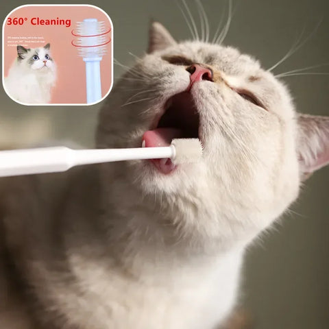 Cat Toothbrush & Toothpaste Set | Soft Brush for Teeth Cleaning | Pet Oral Care for Cats & Small Pets