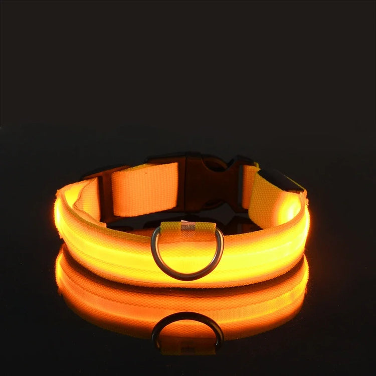 Nylon LED Dog Collar | Night Safety Flashing Glow In The Dark | Dog Leash | LUminous Fluorescent Dog Accessories Collar
