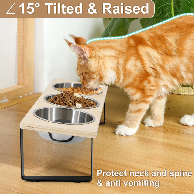 Elevated Cat Bowls with 3 Stainless Steel Bowls | 15° Tilted Raised Cat Food Bowls | For Small Cats & Puppies | Pet Bowls with Stand