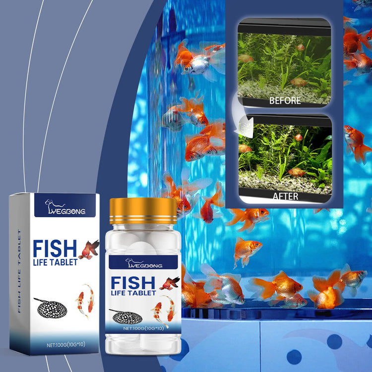 YEGBONG Algaecide 100ml – Rapid Water Purifier & Algae Inhibitor for Fish Tanks and Ponds