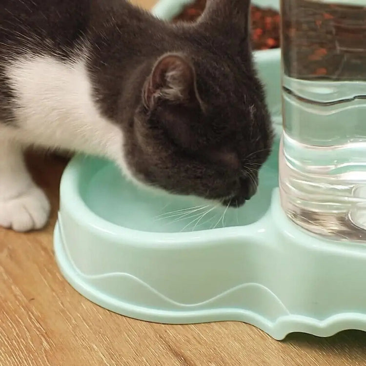 3.8L PP material Pet feeder | Pet Water Fountain Bowl | Automatic Pet Feeder for Large Cats/Dogs- Food Dispenser