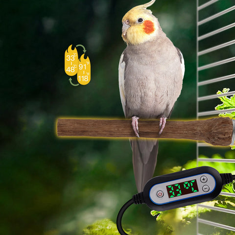 Heating Bird Perch | Bite Resistant Bird Cage Accessories | Bird Warmer Stand for Parakeet, Budgies, Cockatiels, Parrots