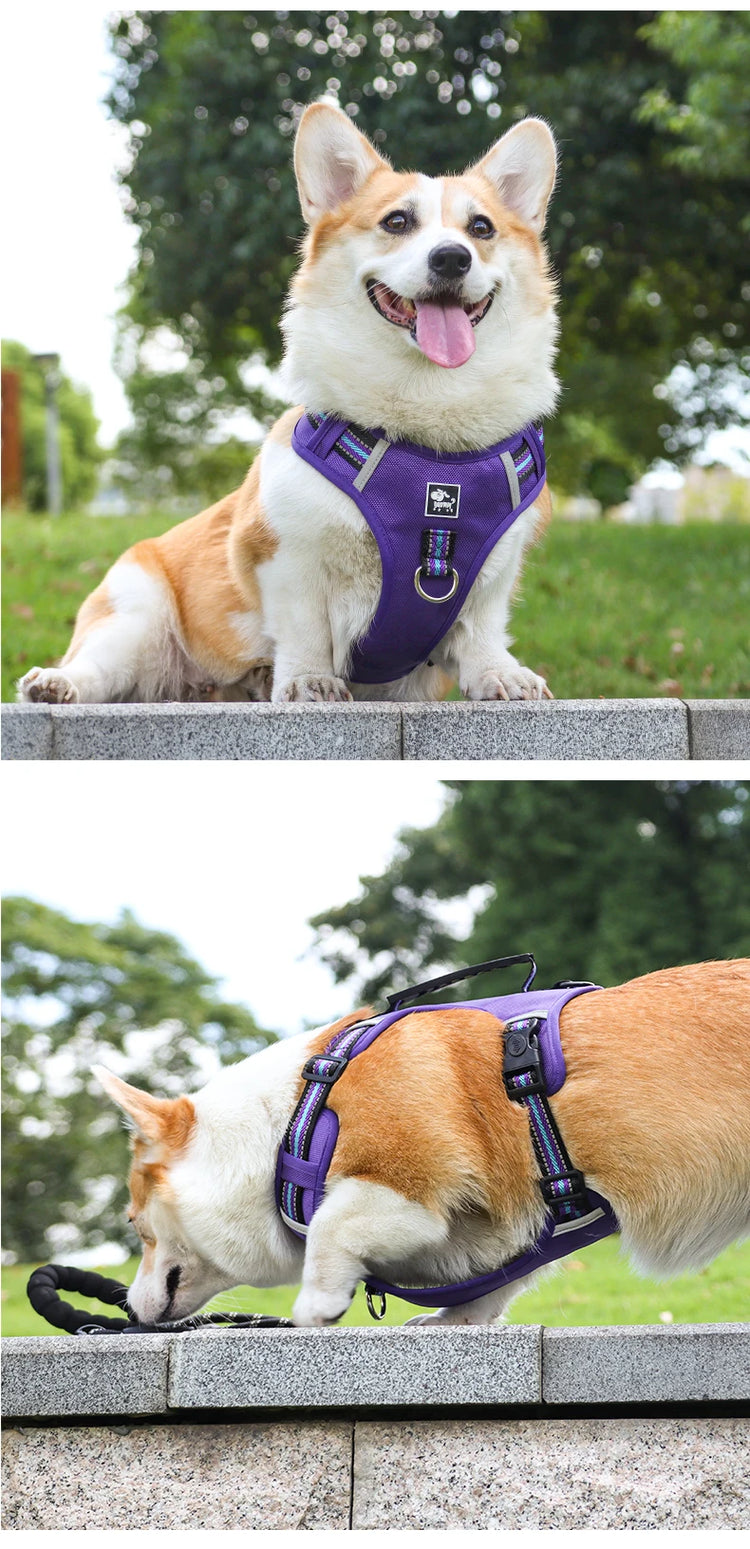 Durable Nylon Dog Harness with Handle – Travel-Friendly, Lightweight & Explosion-Proof Vest for All Dog Sizes