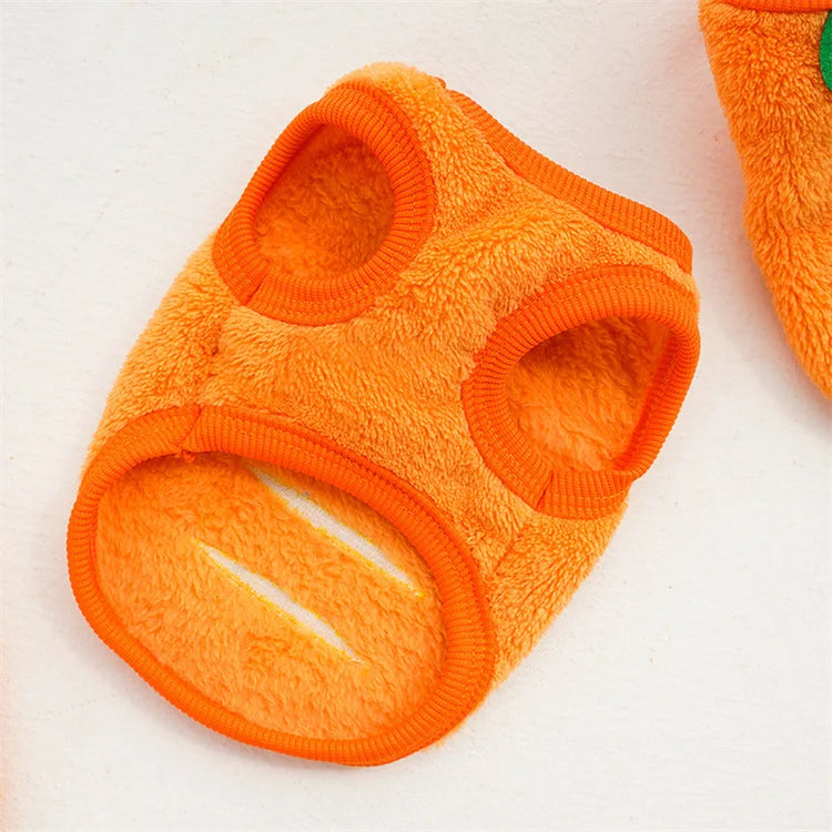 Warm Fleece Winter Clothes for Small Dogs & Cats | Soft Pet Jacket | For Chihuahua, Puppy & Kitten (XXS–XL)