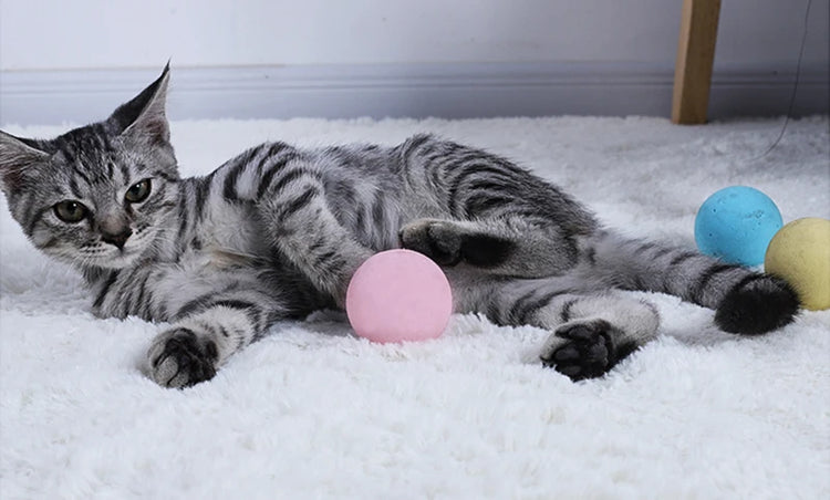 Crazy Cat Toy | Imitating Animal Sounds | Ball Toys for Cats | Ragdoll Siamese Persian | Funny Kitten Gaming Time | Juguetes para Gatos