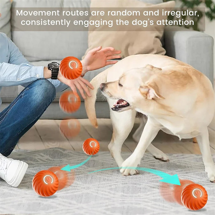 Smart Electronic Dog Toy Ball | USB Automatic Moving & Bouncing Pet Toy | Interactive Puppy Gift | Cat/Dog Products