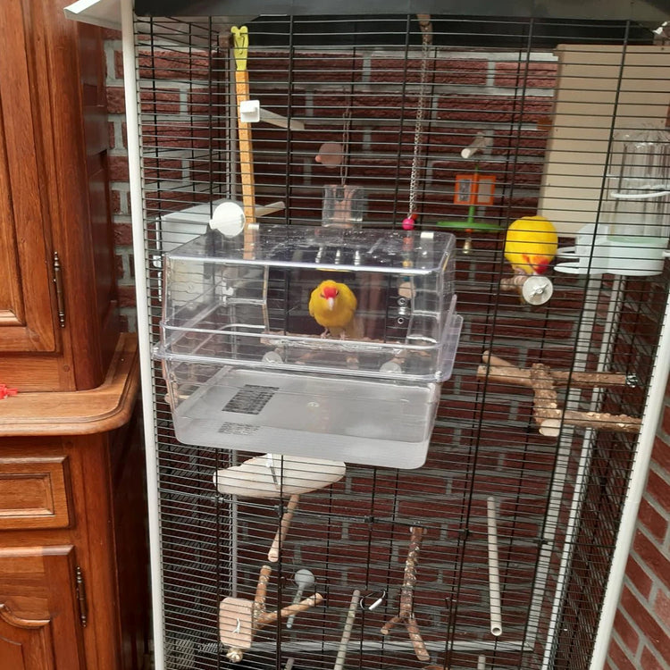 Bird Bath Shower Bathtub Box Large Hanging Clear Transparent Cube for Parrots Cage Accessories Bowl