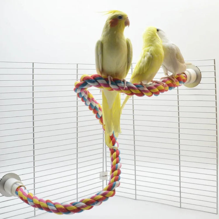 Bird Molar Toy | Durable Bendable Cotton Rope | Multi-color Parrot Standing Perch for Cockatiel | Parrot Cage Bird Toy