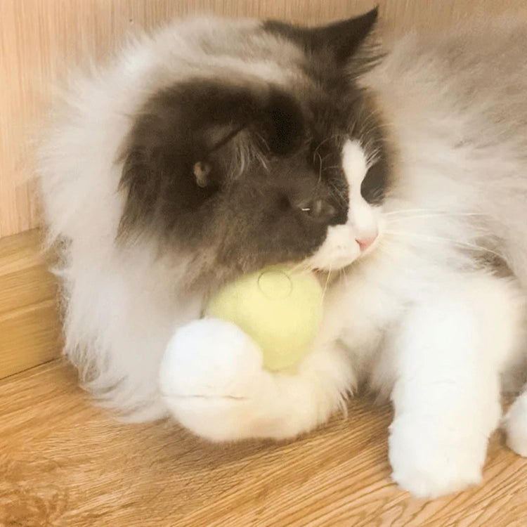 Crazy Cat Toy | Imitating Animal Sounds | Ball Toys for Cats | Ragdoll Siamese Persian | Funny Kitten Gaming Time | Juguetes para Gatos