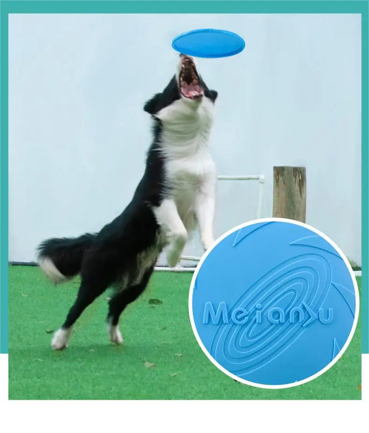 OUZEY Bite Resistant Flying Disc Toys for Dogs | Multifunction Pet Puppy Training Toys | Outdoor Game Dog Products