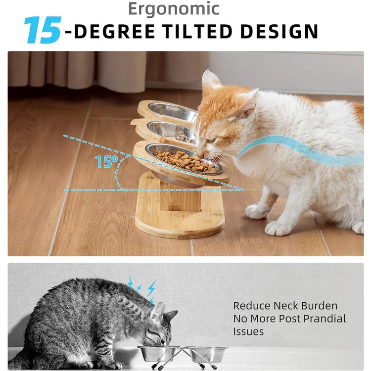 Elevated Cat Dog Bowls | 15° Tilted Raised Pet Bowls | Double Wooden Stand | Stainless Steel Food & Water Bowls | For Cats & Small Dogs | Pet Supplies