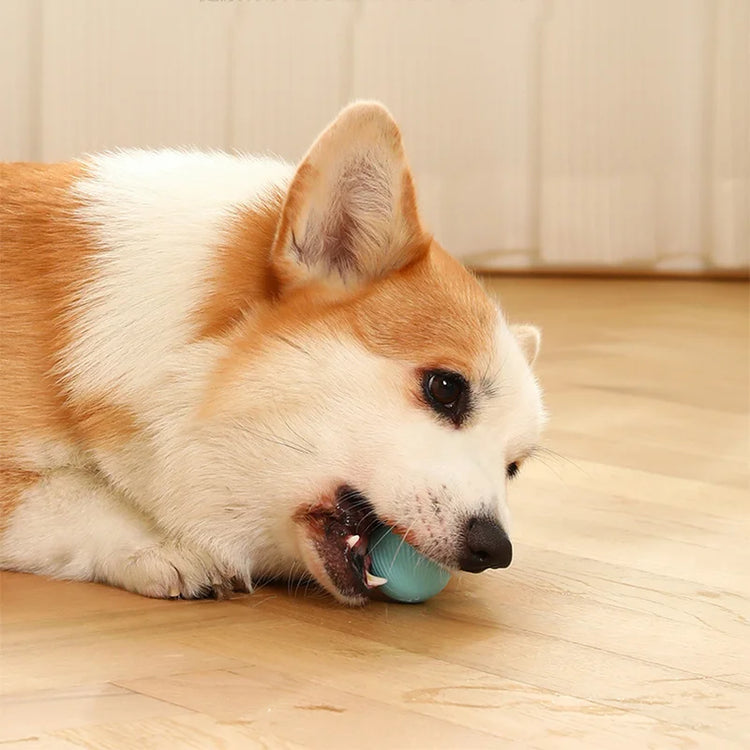 2023 NEW Electric Dog Toys | Smart Puppy Ball Toys For Cat | Small Dogs | Funny Auto Rolling Ball | Self-moving Puppy Games Toys | Pet Supplies