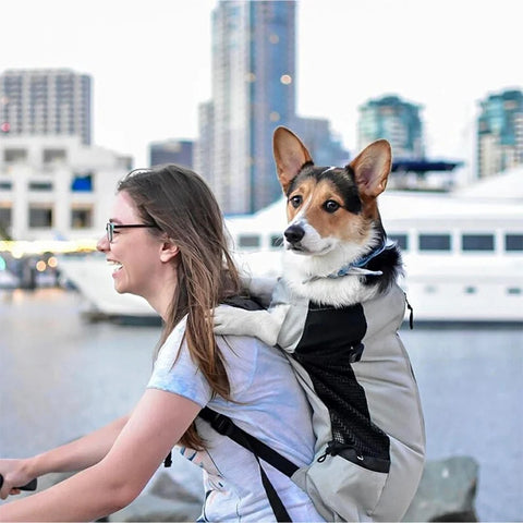 Strong Nylon Dog Carrier Backpack – Breathable Outdoor Travel Backpack for Small & Medium Dogs