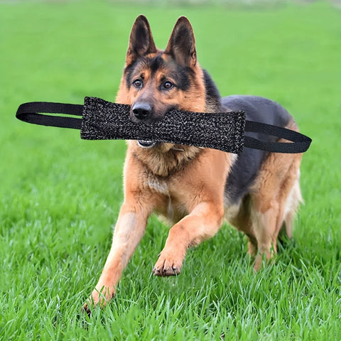 Dog Training Bite Stick – Double Handle Jute Tug Toy for Interactive Play & Training
