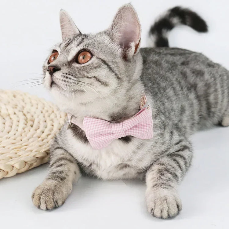 Cute Cat Collar with Bow Tie | Adjustable Design| Pet Dogs Cats Puppy Necklace - Pet Supplies