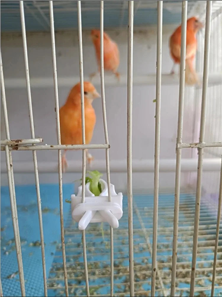 Cute Small Pet Bird Food Holder | Parrot Fruit & Veggie Clip | Cuttlefish Bone Feeder | Cage Clamp Tool | Accessories for Canaries & Cockatiels