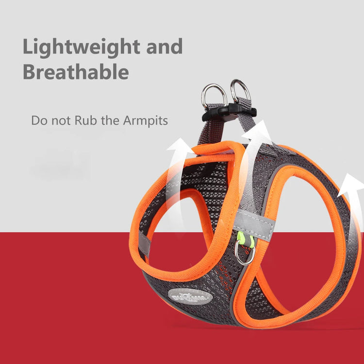 Pawstrip Soft & Reflective Dog Harness with Leash – Comfortable Vest Harness for Small Dogs