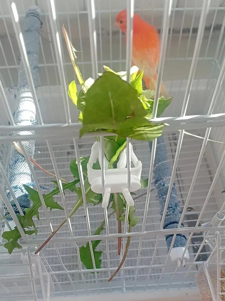 Cute Small Pet Bird Food Holder | Parrot Fruit & Veggie Clip | Cuttlefish Bone Feeder | Cage Clamp Tool | Accessories for Canaries & Cockatiels