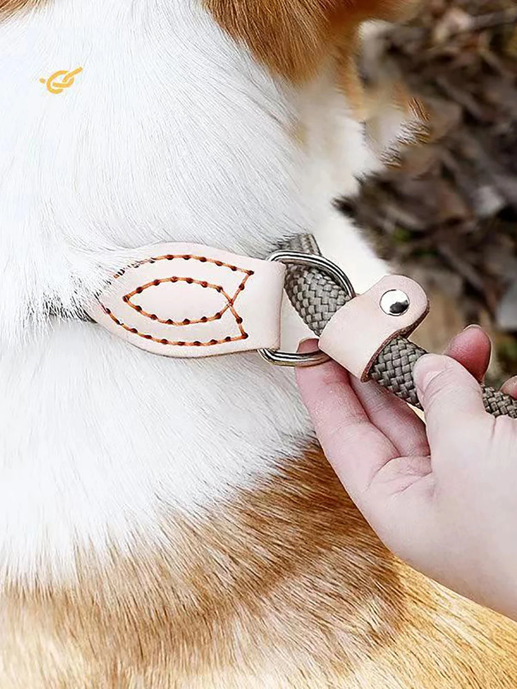 180cm Adjustable Collar Harness Dog Leash – Durable, Lightweight Nylon Rope for Puppies