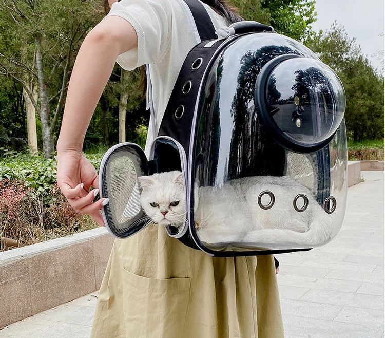 Cat Carrier Bag | Outdoor Pet Shoulder Bag | Carriers Backpack | Breathable Portable Travel Transparent Bag | For Small Dogs Cats