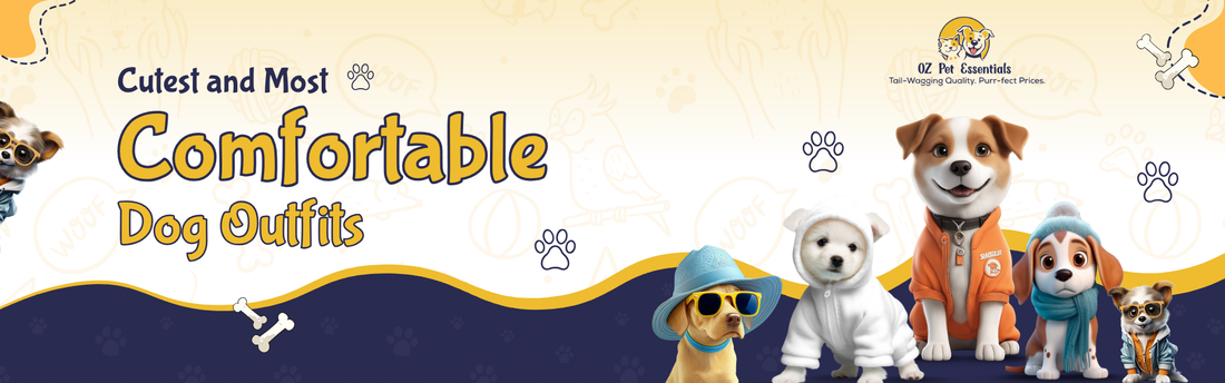 What Are the Cutest and Most Comfortable Dog Outfits in Australia?