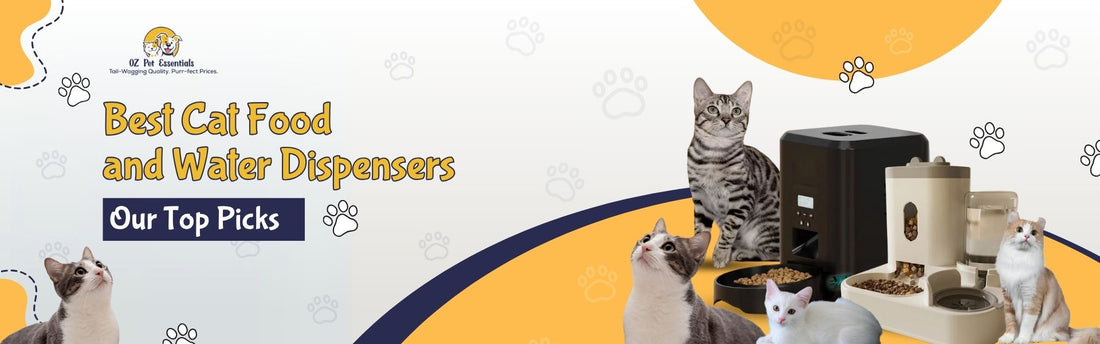 Best Cat Food and Water Dispensers for Busy Pet Owners: Our Top Picks