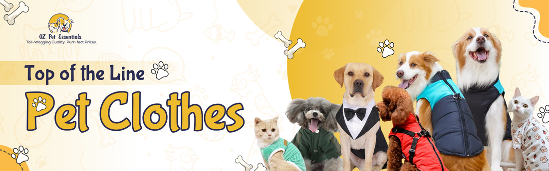 What Should You Look for in Pet Clothes? A Guide to Comfort and Style