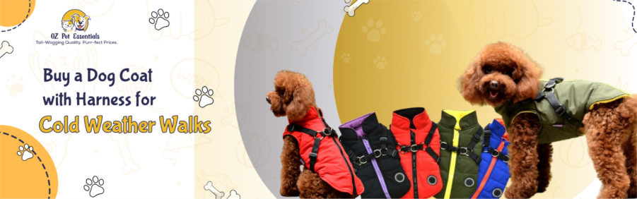 The Benefits of Choosing a Dog Coat with Harness for Cold Weather Walks